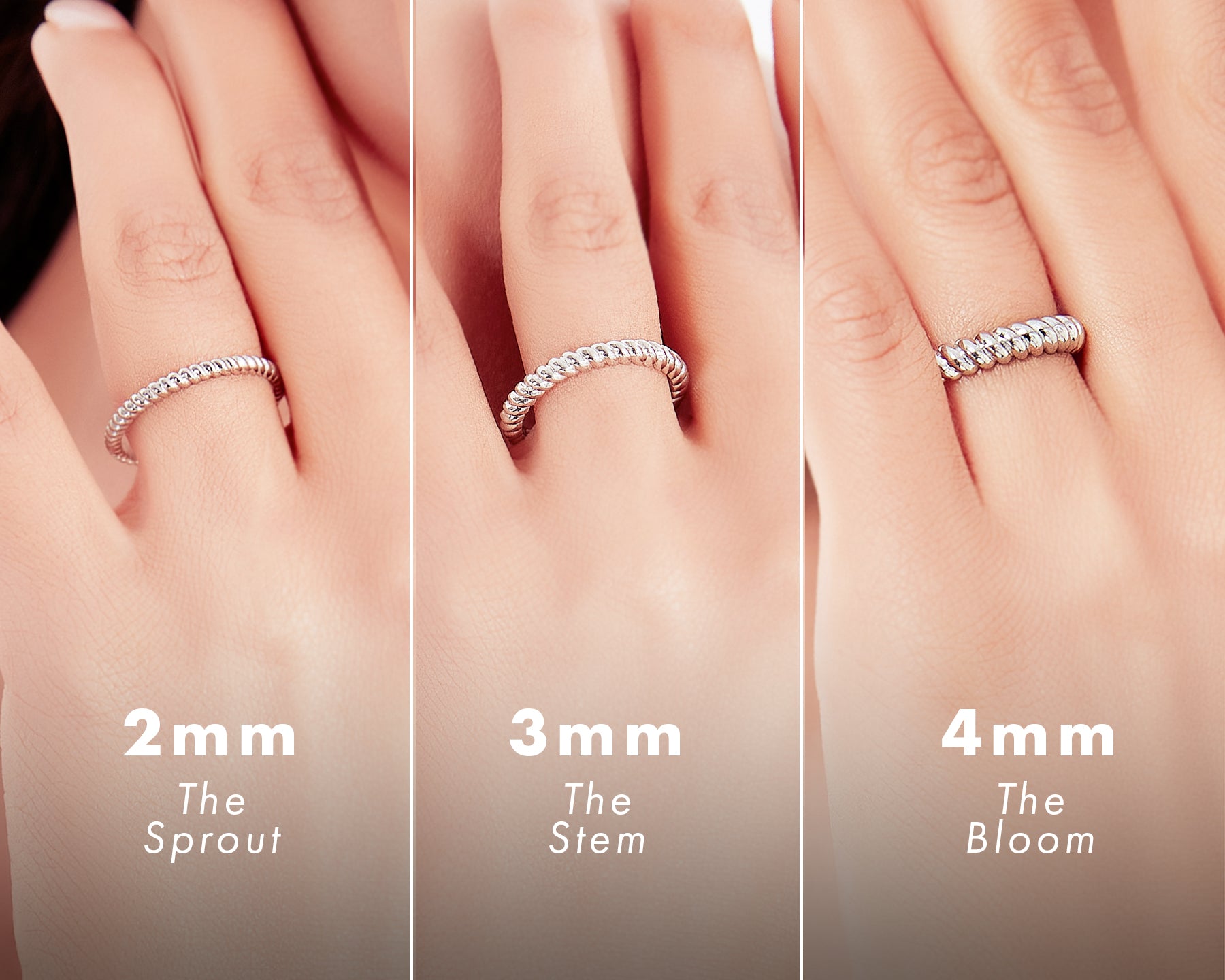 Ring width size chart on finger showing 2mm vs 3mm vs 4mm bands. Comparison of thin, medium, and thick silver twisted rope rings labeled The Sprout, The Stem, and The Bloom.