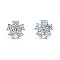 Flower CZ Stud Earrings in Sterling Silver, Rhodium Plated