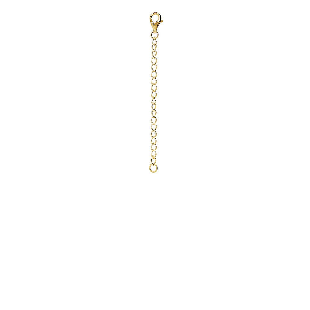 Chain Extension Set in Gold Flashed Sterling Silver, 6 of 9